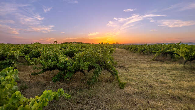 Domaine des Arnasseaux