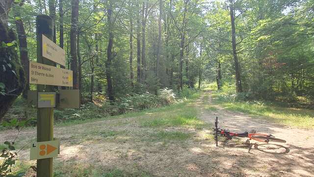 VTT-VTC (L) link between Bresse and Revermont