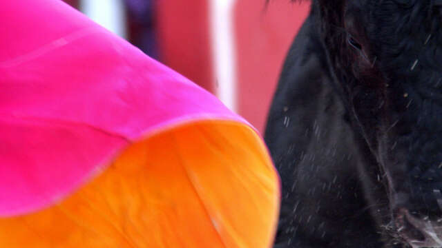 La Féria de Pâques aux arènes