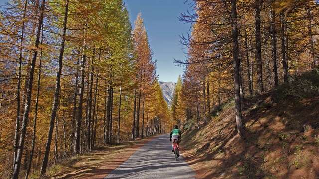 Initiation Gravel - La "matinale"