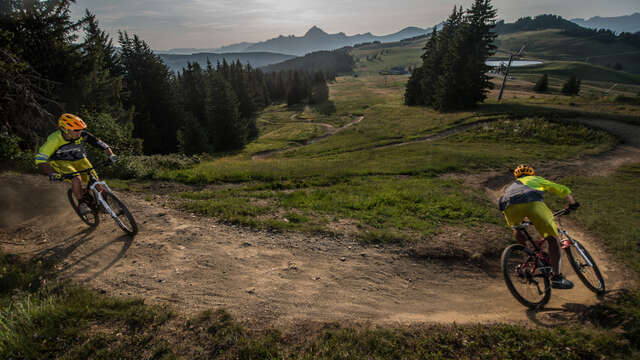 Downhill MTB - Droit dans lo boets