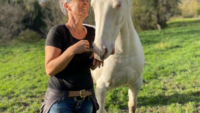 Ateliers "Découvrir le cheval autrement"