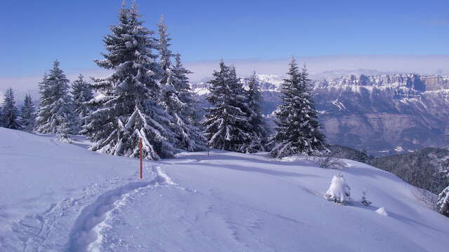 Crêt du Poulet snowshoe trail