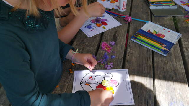 Atelier Herbier de plantes médicinales