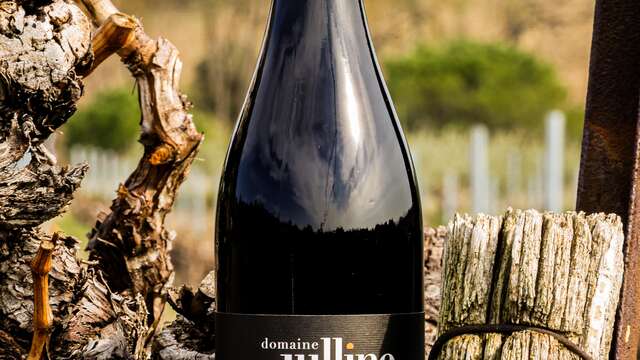 Domaine Julline