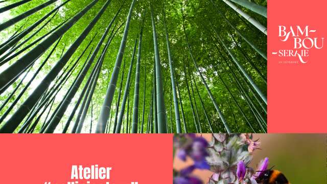 Atelier pollinisateur