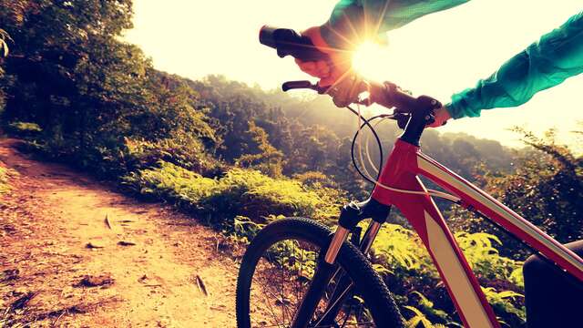 Mountain biking : The Pierrefeu hills