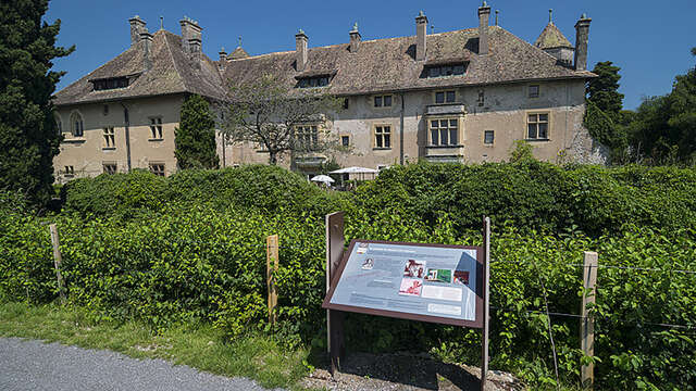Sentier découverte du château et du vignoble de Ripaille