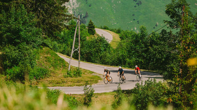 Joux Verte col