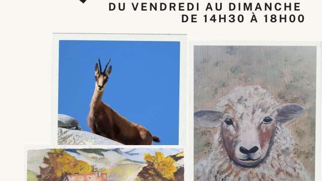Exhibition & Sale – Artisan Collective