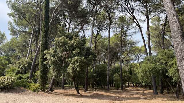 Arboretum von Pierrefeu du Var