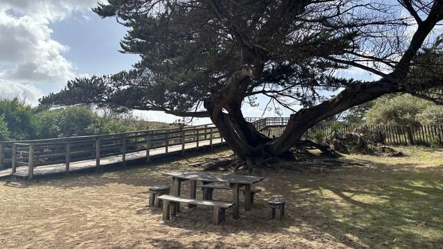 Picknickplatz am Plage des Gollandières