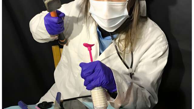 Spectacle : Reconditionnée