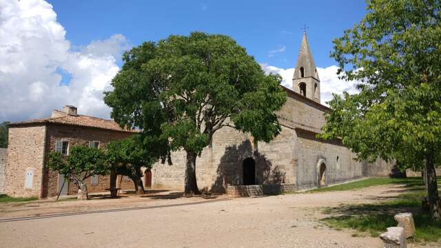 Abbaye du Thoronet, joyaux de l’architecture cistercienne