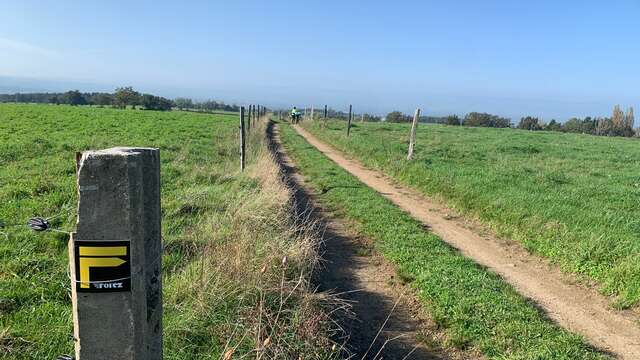 Le chemin des collines
