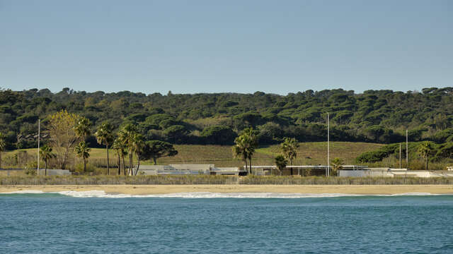 Naviguer Le Paysage