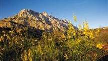 Réserve naturelle de la Sainte Victoire