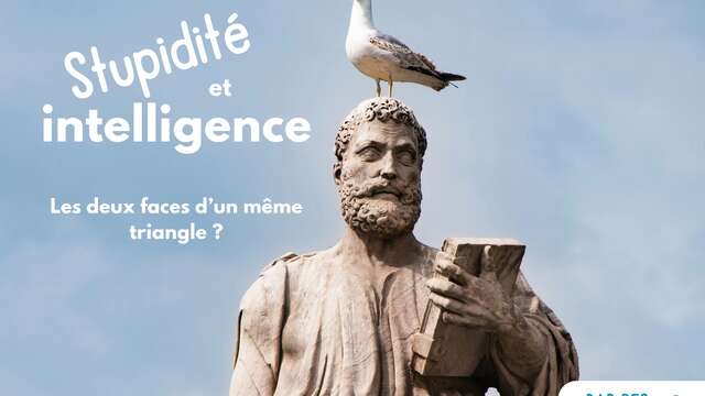 Stupidité et intelligence : les deux faces d’un même triangle ? / FETE DE LA SCIENCE