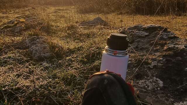 Tour de Vergongeat et du Moleron