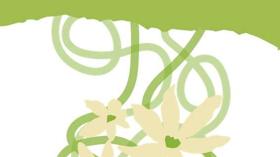 Festival de Marseille