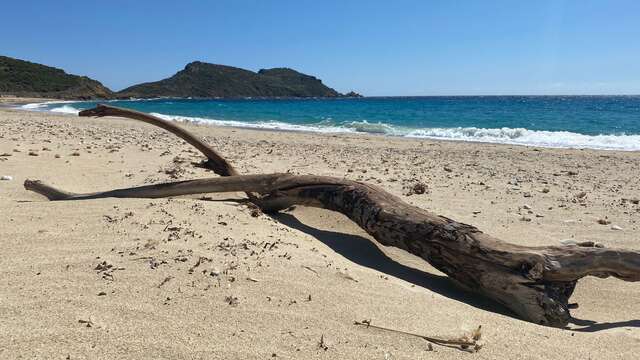 Plage de la Briande