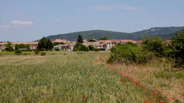 Dans le bois de Cavaillon