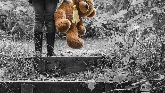 Tristesse et joie dans la vie des girafes