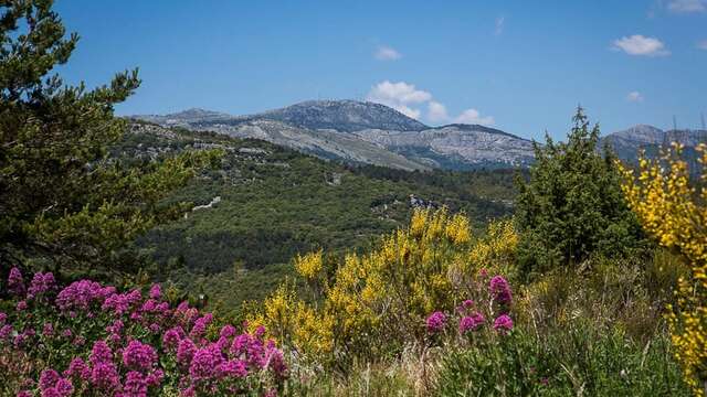Circuit vélo : N°5 - Saint Paul en Forêt