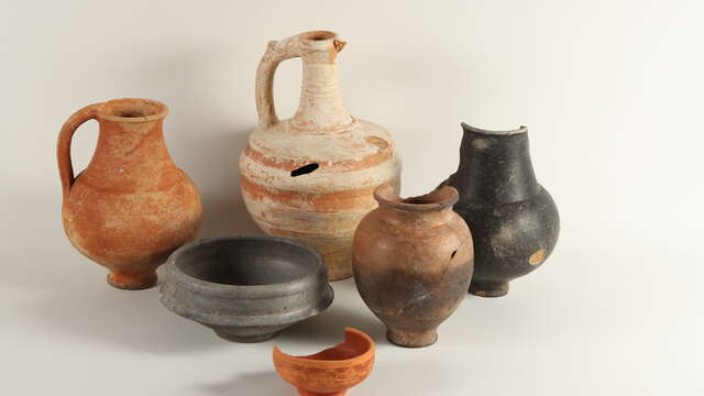 Exposition - Sorties de réserves : Une nouvelle acquisition pour le musée.