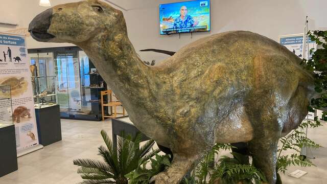 Exposition permanente sur les dinosaures