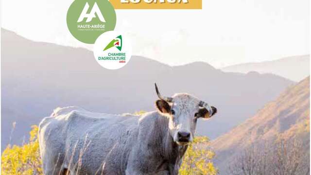 Mi cuaderno gourmet de productores locales.