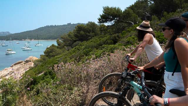 Spécial groupes - Bateau, vélo et déjeuner à Porquerolles : une journée d’évasion au cœur des Îles d’Or