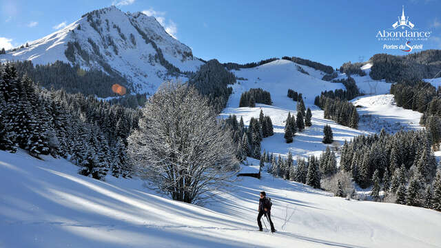 Snowshoeing itinerary : Versant forestier