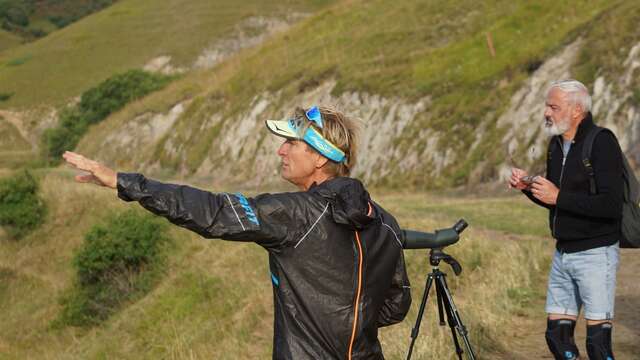 Bureau Montagne : Observation des chamois, voltigeurs des cimes!