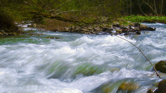 Parcours trail 2 bleu : Les Bô - La Mouillette