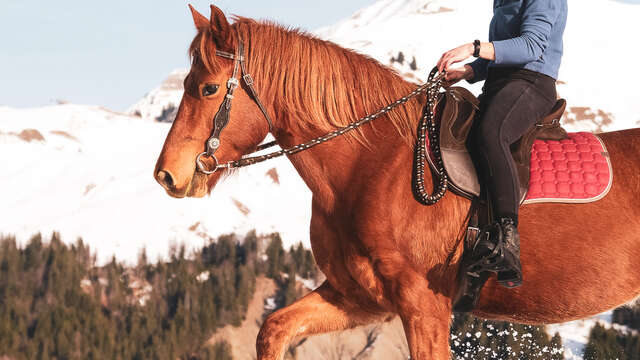 Balade à poney