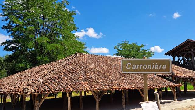 Carronnière de Mollardoury