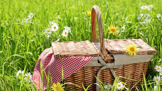 Aire de pique-nique de la Verchère