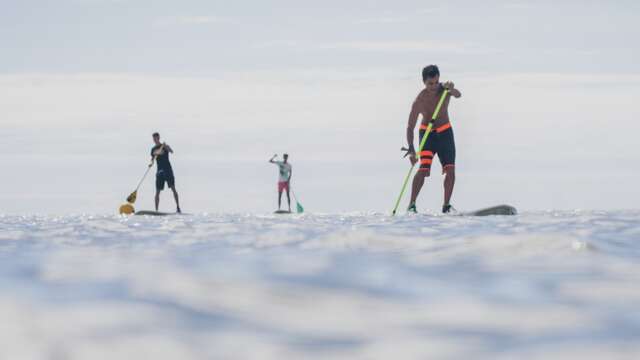 Location de catamaran / planche à voile / funboard / kayak / stand up paddle / surf par Ile de Ré Voile à Saint-Martin