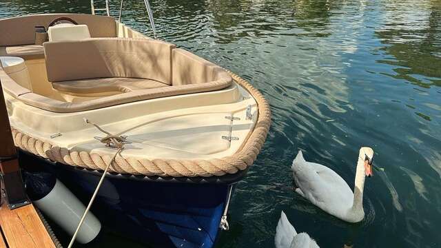 Electric Boat - Loueur de bateaux