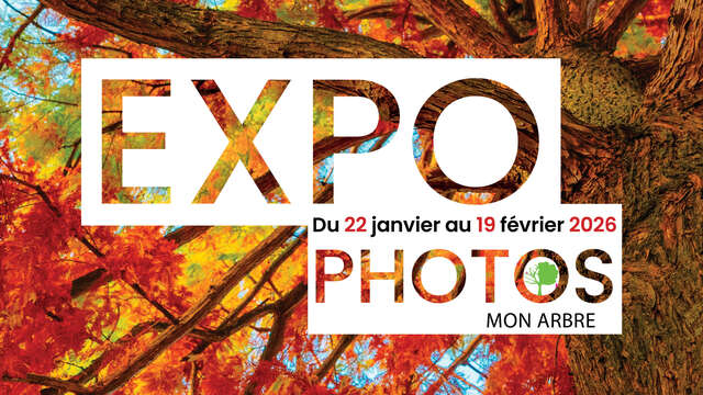 Exposition de photos : Mon arbre