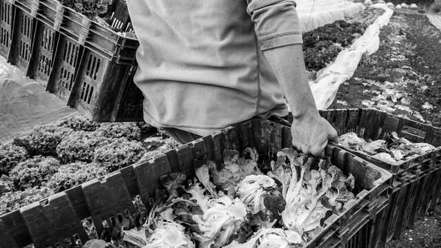 Vernissage de l'exposition "Celles et ceux qui nous nourrissent"