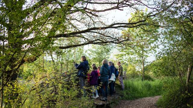 Fête de la Nature | Meet the birds of our mountains