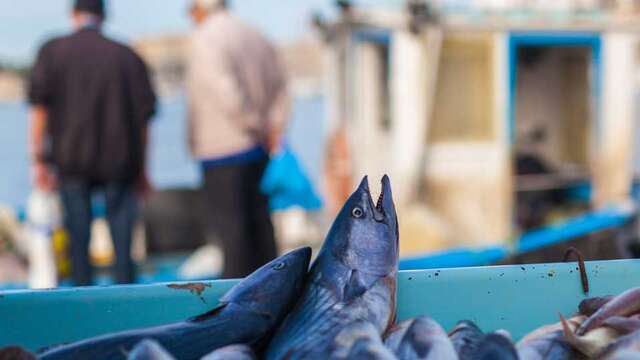 The Fishermen Stall