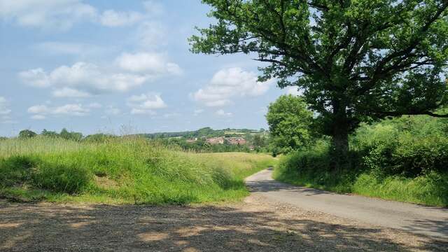 VTTAE circuit n°9 (red) Revers du Revermont - short version