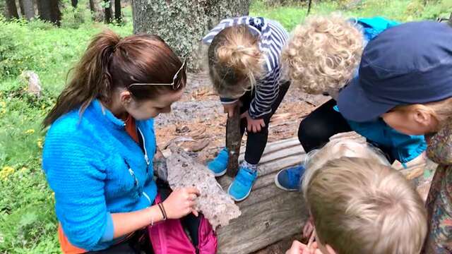 ( Annulé ) Journée Eco-aventure - La forêt et sa flore