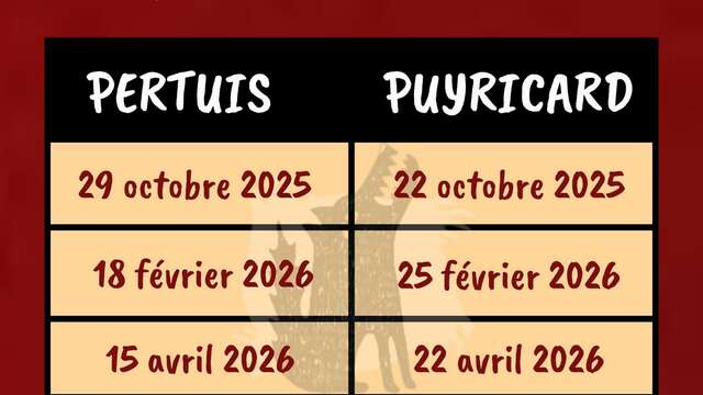 Partie géante de Loups-Garous