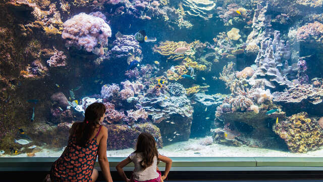 Aquarium des Lagons