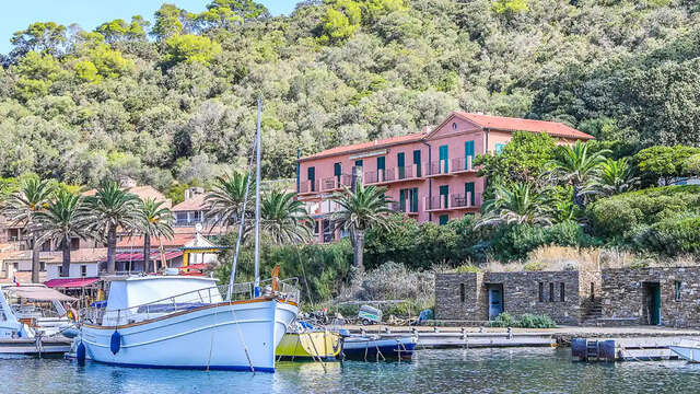 Traversée en Bateau Hybride pour Port-Cros