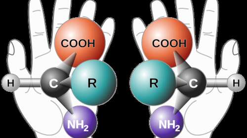 Café des sciences - Les molécules sont-elles de droite ou de gauche ?  Chiralité : de l’origine de la Vie à la vie quotidienne